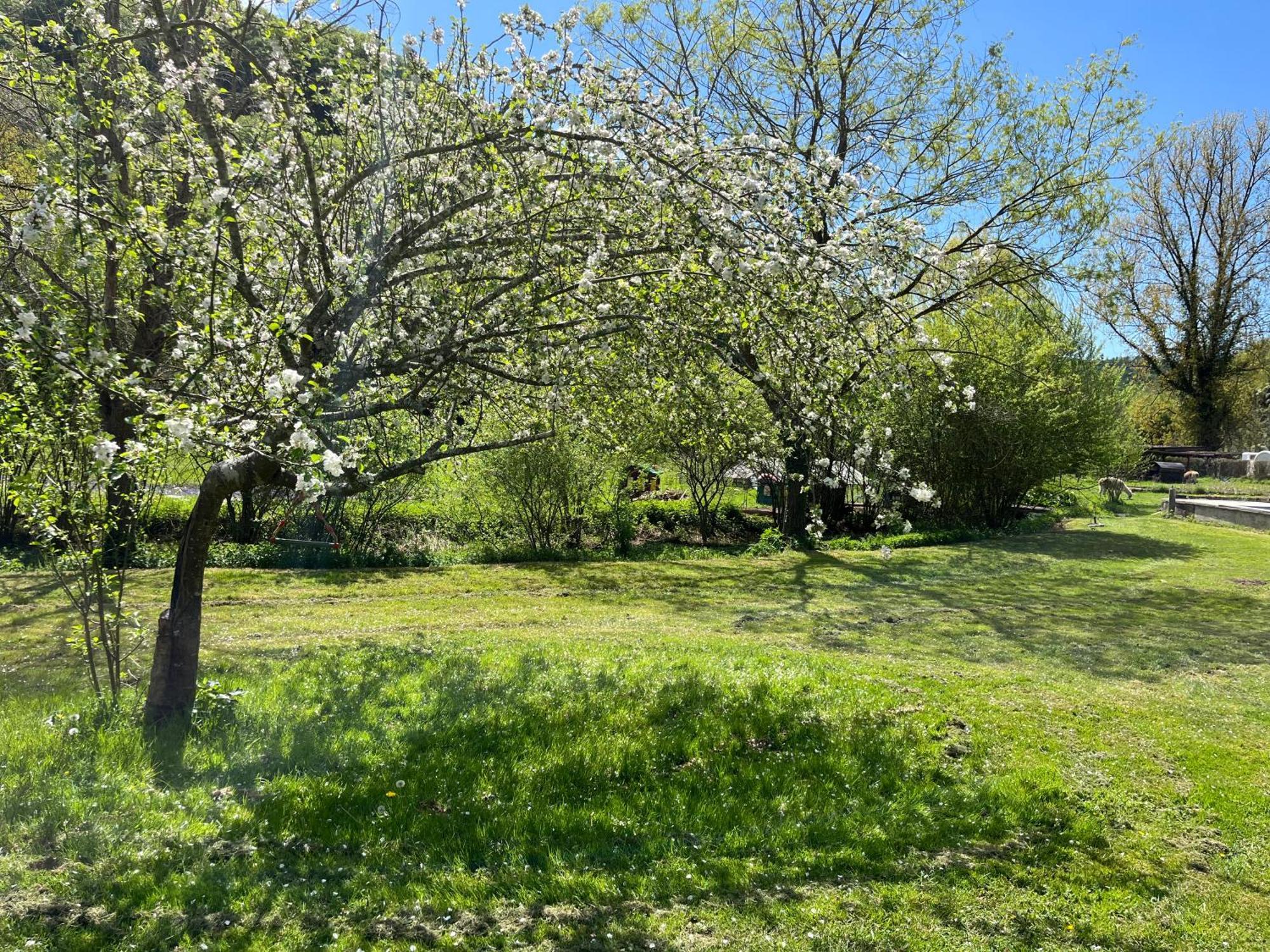 Les Pieds Dans L'Eau, Gite Le Blagour Lachapelle-Auzac Exterior photo